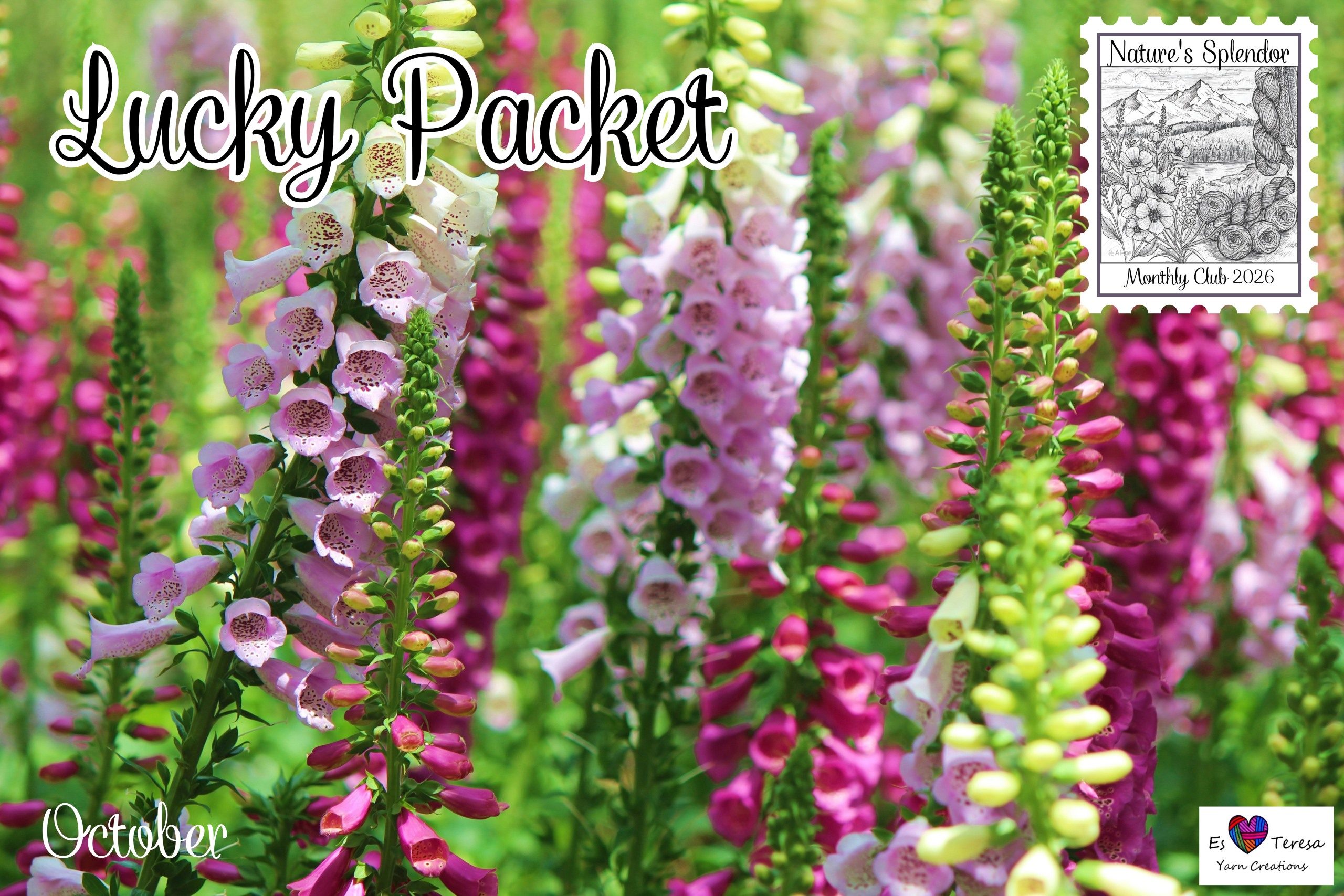 Lucky Packet