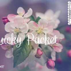 Lucky Packet