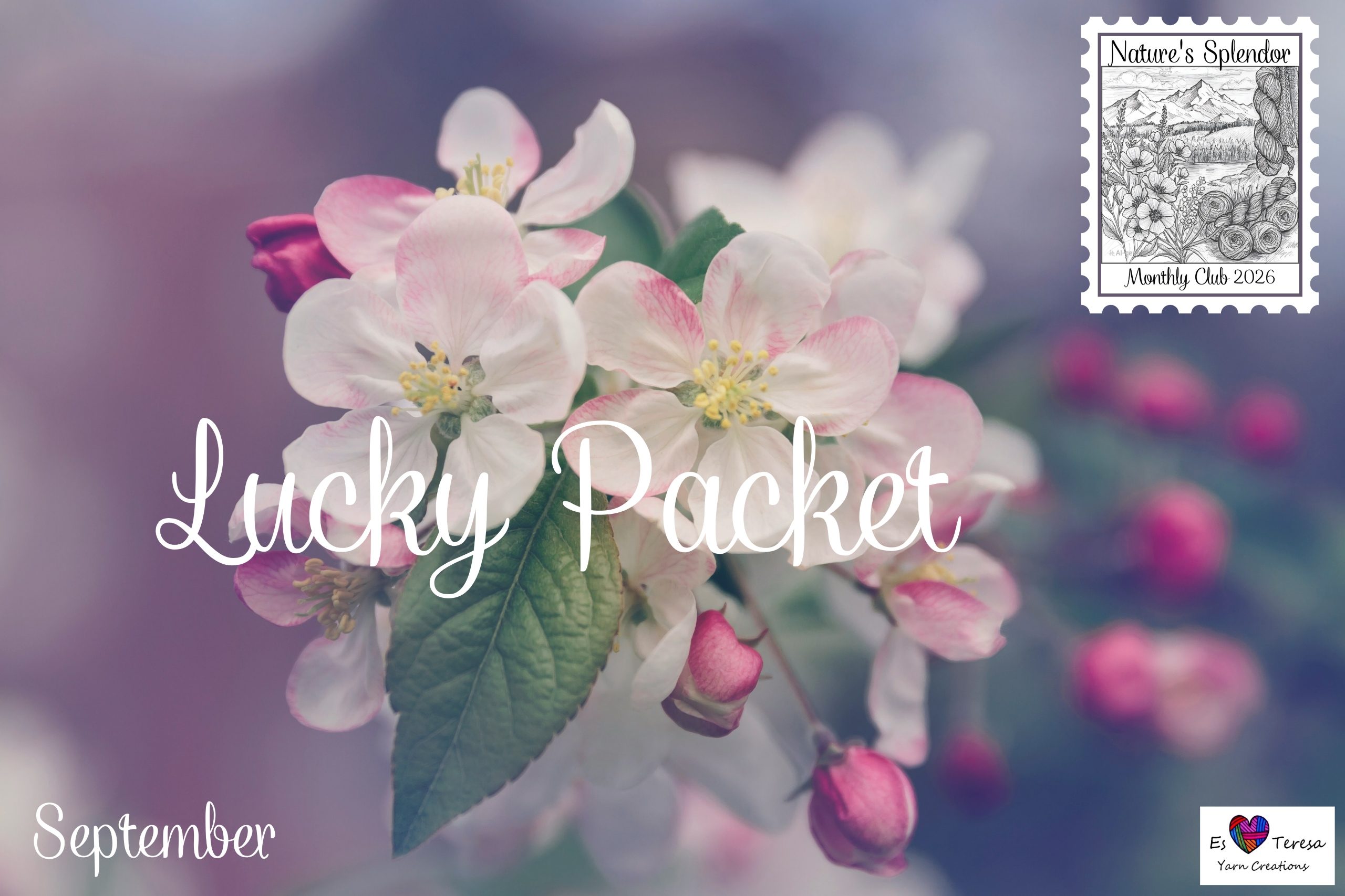 Lucky Packet