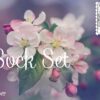 September Sock Set